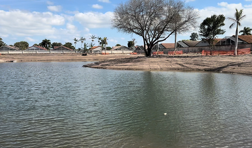 A body of water with a tree in the middle