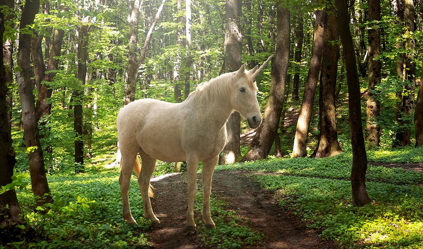 A white unicorn standing in a forest, symbolizing billion-dollar startup unicorns and the potential of Indian entrepreneurs in America.