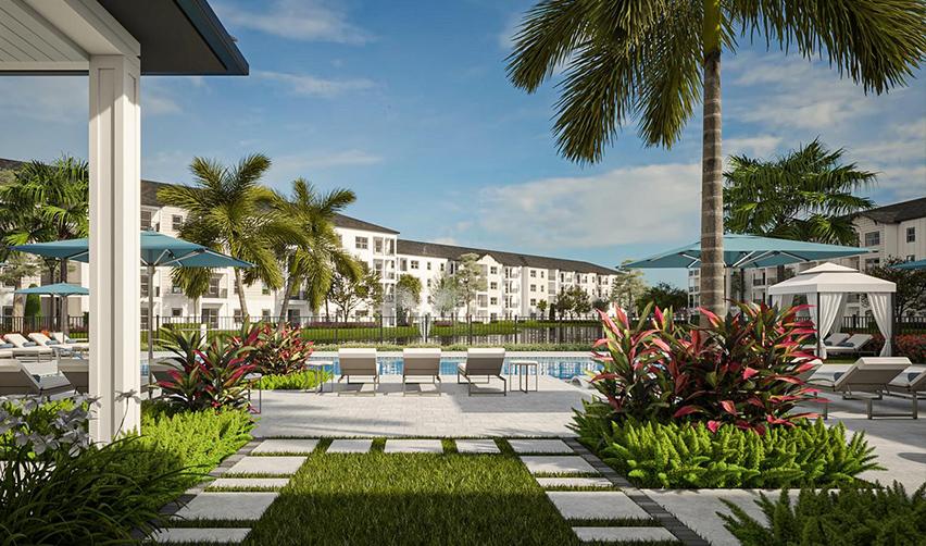 A pool with palm trees and chairs