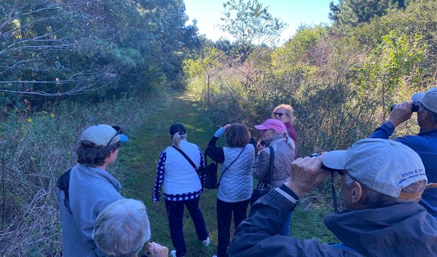 Residents on a guided birding hike through Bay Creek Nature Preserve, observing local and migratory species with binoculars.